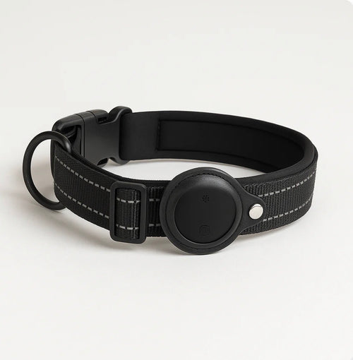 רצועת איתור מתקדמת לכלב